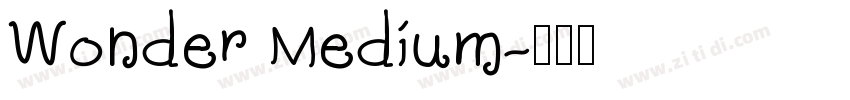 Wonder Medium字体转换